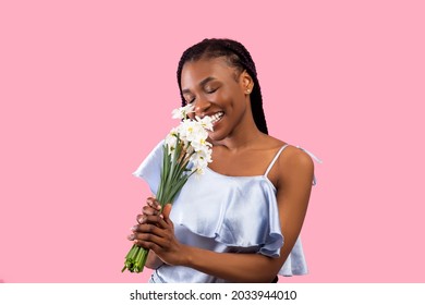 Millennial Black Lady Smelling Bunch Of Daffodils Over Pink Studio Background. Carefree African American Woman Receiving Bouquet Of Narcissus Flowers, Celebrating Her Birthday