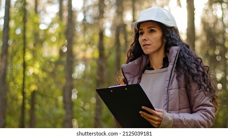 Millennial female technician ecologist looking up at treetops, Young indian woman in hardhat with clipboard taking measures checking trees. Forestry engineer in park. Supervising wildlife sanctuary