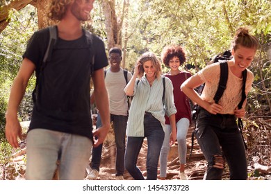 Millennial Friends Hiking Together Downhill On A Forest Trail, Three Quarter Length