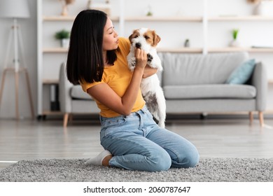 Millennial korean lady in casual sitting on carpet in living room, holding fluffy jack russel terrier dog, female owner giving pet healthy treats while cuddling with her puppy at home, copy space