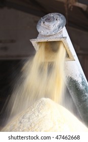 Milling corn for cattle feed inside a large shed