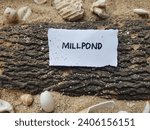 Millpond writing on beach sand background.