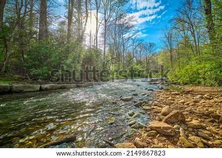Mills River in Pisgah National Forest North Carolina.