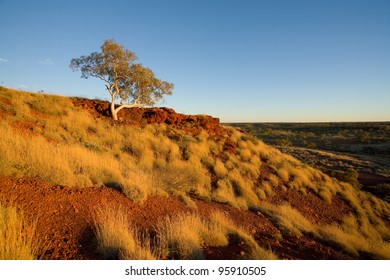   Millstream Chichester National Park