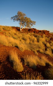 Millstream - Chichester National Park