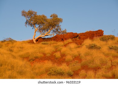 Millstream - Chichester National Park