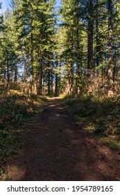 Milo Mclver State Park In Clackamas County, Oregon