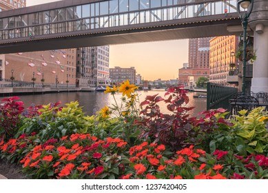 Milwaukee River Walk Footbridge With Flowers