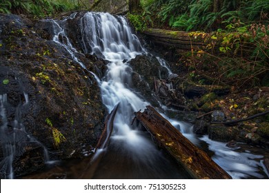 Mima Falls, Capitol Forest, Olympia Washington, USA