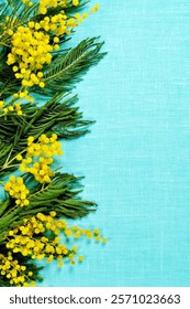 Mimosa flowers on the turquoise linen surface. Natural spring background with copy space for Easter, Mothers day, 8 March festive texts. Selective focus at the mimosa