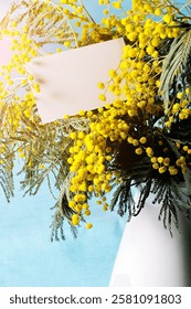 Mimosa flowers and white card - spring background with free space for text for 8 March, Mothers day, Easter holidays