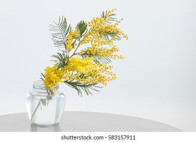 6,564 Mimosa glass Images, Stock Photos & Vectors | Shutterstock