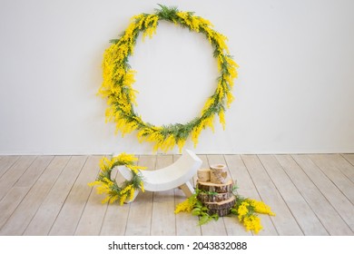 Mimosa Wreath On A White Background. Spring Photo Zone.