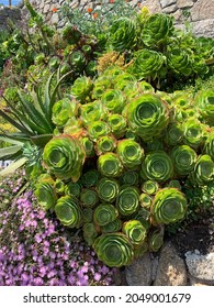 The Minack Theatre In Cornwall 