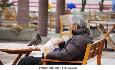 MINATO, OSAKA, JAPAN - JANUARY 07, 2018: Gray Haired Man Eating Shrimp Crackers While Observing A Pigeon On A Table Near Osaka Aquarium Kaiyukan.