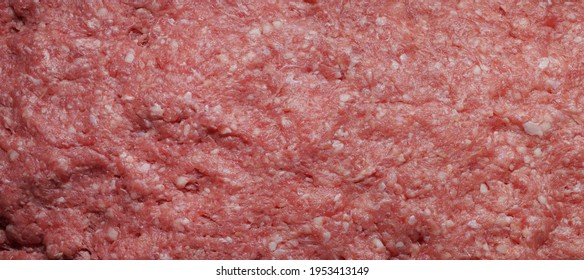 Minced Meat.
Fresh Raw Ground Meat.
Meat  Background. 
Mixed Beef And Pork Red Meat Texture. Close Up.
Full Depth Of Field. Panoramic Image. Hi-res Banner.