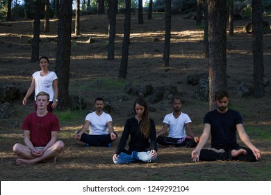 Mindfulness teacher guiding multi ethnic group of students in pine trees forest park. Female instructor leading meditation class in nature. Young people sitting on lotus pose in outdoor class - Powered by Shutterstock