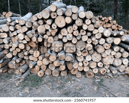 Mindi wood that has been cut into rounds and stacked neatly