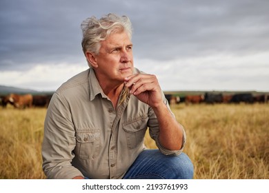 Mindset of an agriculture farmer man thinking on farm with storm clouds in sky or weather for outdoor farming or countryside. Sustainability worker on grass field with a vision for growth