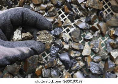 Mine, mining of tin (Sn) ore, as mineral cassiterite (SnO2). Rocks held in gloved hand. Element used in Lithium-ion batteries, coils of superconducting magnets, pigments, solder, plating and bronze