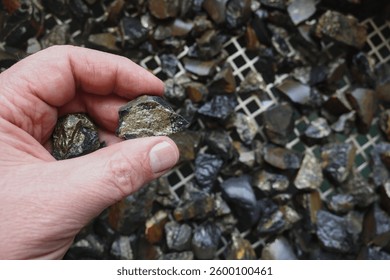 Mine, mining of tin (Sn) ore, as mineral cassiterite (SnO2). Rocks held in hand. Element used in Lithium-ion batteries, coils of superconducting magnets, pigments, solder, plating and bronze metal