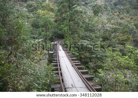 Minecart rail in Yakushima forest