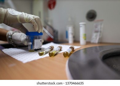 Miner Experimenter Using Rubber Glove While Conducting Safety Urine Drug And Alcohol Testing In The Laboratory At Mine Site Prior To Work On High Risk, Perth, Australia  
