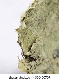 Mineral Asbestos Close Up