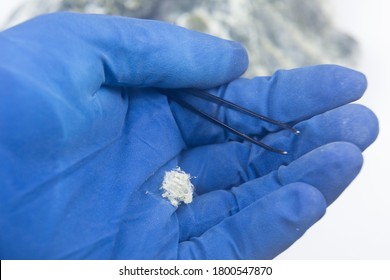 Mineral asbestos lies on the palm in a glove. Chrysotile asbestos fibers close-up on the hand of a man in gloves.
