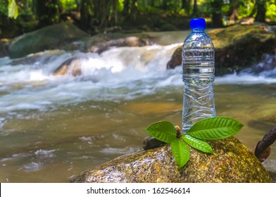 Mineral Bottle At Water Stream In Wood Forest