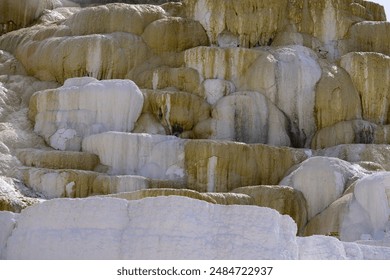 Mineral Deposits in Mammoth Hot Springs - Powered by Shutterstock