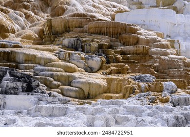 Mineral Deposits in Mammoth Hot Springs - Powered by Shutterstock