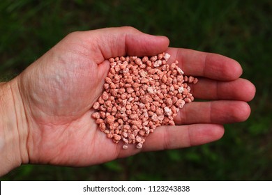 Mineral Fertilizer With Phosphorus In Red