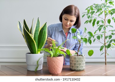 4,572 Fertilizer sticks Images, Stock Photos & Vectors | Shutterstock