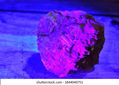 Mineral Fluorescing Pink Under A UV Light.