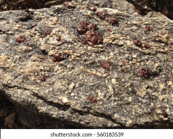 Mineral Garnet In Nature