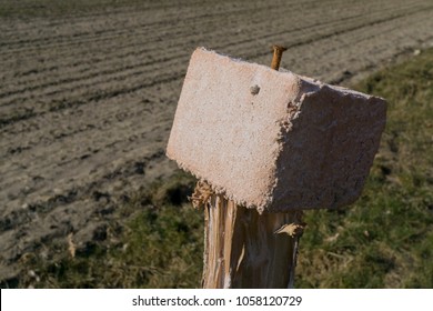 Mineral Lick, Deer Lick Salt For Animal