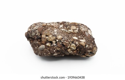 mineralogical and petrological investigations, a sedimentary rock, specifically a conglomerate - Shutterstock ID 1939663438