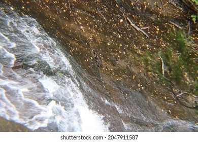 Miners Fall's Hiawatha National Forest