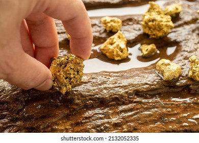 Miners grab gold ore found in the mine for inspection and consideration. - Powered by Shutterstock