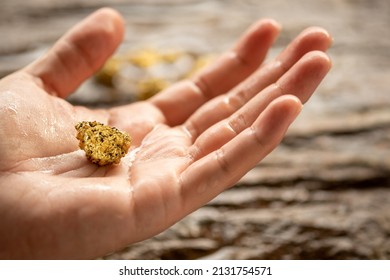 Miners hold in their hands gold minerals found in the mine for inspection and consideration - Powered by Shutterstock