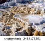 Minerva Terrace of Mammoth Hot Springs in Yellowstone National Park : WY, USA