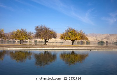 lake ming lake ming