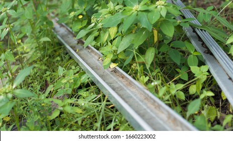 Mini 4wd Dirty Tracks Accross Land And Grass