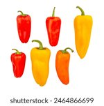 mini bell pepper path isolated on white