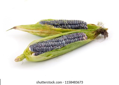 Mini Blue Sweet Corn With Leaves