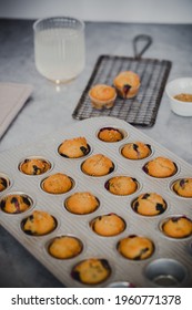 Mini Blueberry Muffins In Papers