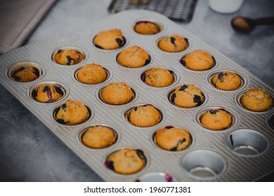 Mini Blueberry Muffins In Papers