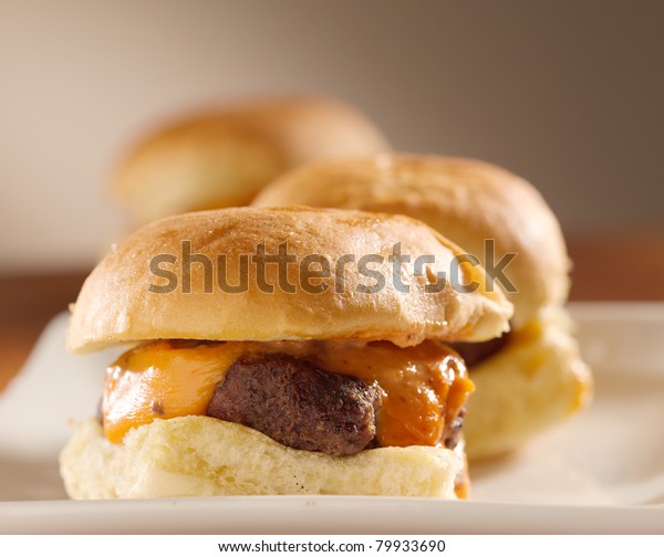 mini burger\
sliders shot with selective\
focus