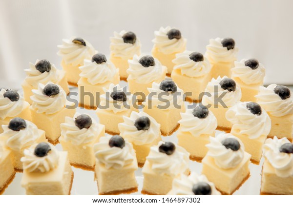 Mini Cheesecakes Decorated Whipped Cream Blueberries Stock Photo